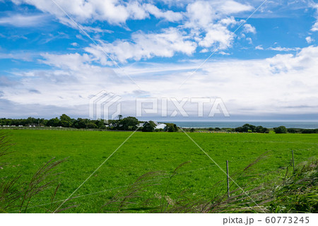 えりも町の広大な緑の牧草地と夏の青空風景 えりも町の広大な緑の牧草地と夏の青空風景 60773245