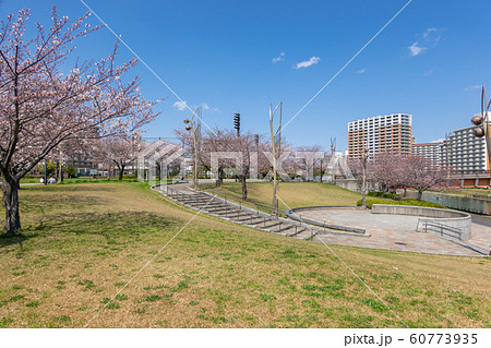 大島小松川公園 桜 大島小松川公園 桜 60773935