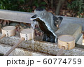 兵庫県神戸市東灘区　御影　導きの宮弓弦羽神社【10】 60774759