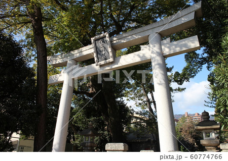 兵庫県神戸市東灘区　御影　導きの宮弓弦羽神社【14】 60774766