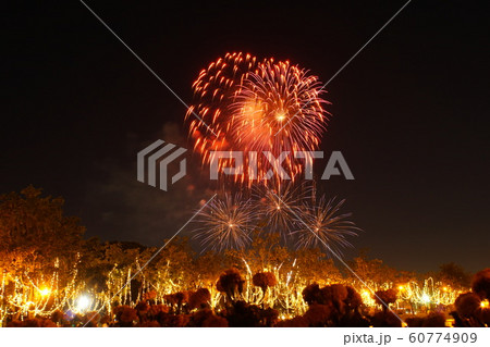 Night View of Rama 9 Park in Flower Festival 2019 Night View of Rama 9 Park in Flower Festival 2019 60774909