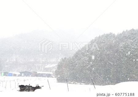 雪国 雪国 60775188