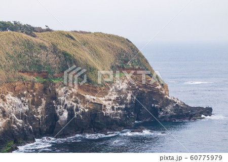 城ヶ島(冬) 城ヶ島(冬) 60775979