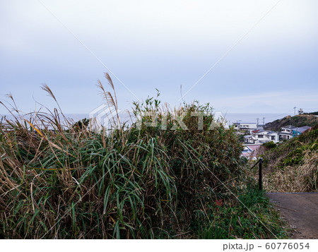 城ヶ島（冬） 60776054