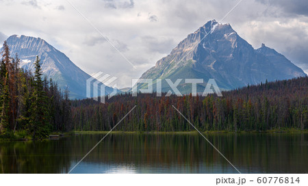 Leach Lake, Jasper National Park, Alberta, Canada 60776814