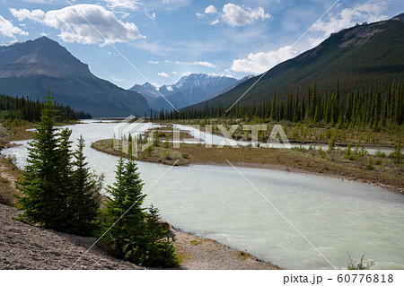 Athabasca River, Jasper National Park, Rocky 60776818