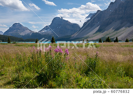 Bow Lake, Icefield Parkway, Banff National Park, 60776832