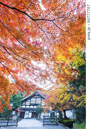 秋の南禅寺 秋の南禅寺 60777707