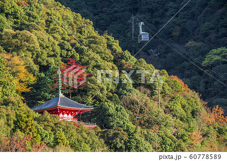 岐阜県　岐阜公園三重塔 60778589
