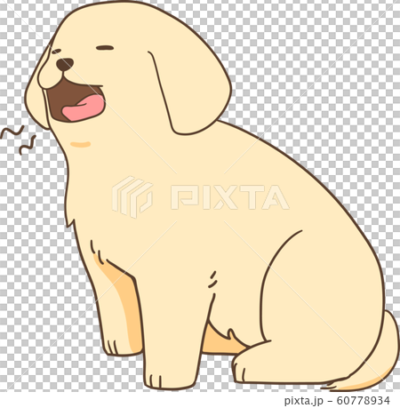 ゴールデンレトリバーの子犬(あくび) ゴールデンレトリバーの子犬(あくび) 60778934