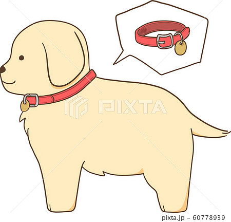 ゴールデンレトリバーの子犬(首輪) ゴールデンレトリバーの子犬(首輪) 60778939