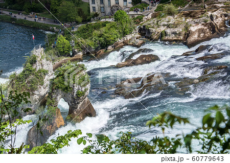 Rhine Falls of Schaffhausen, Switzerland 60779643