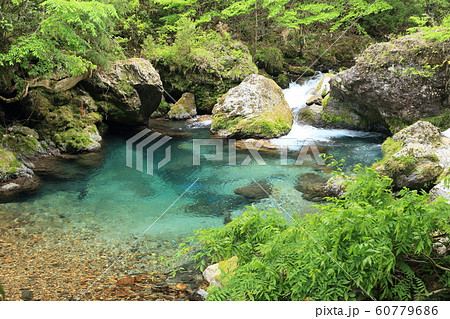 清流 渓流 清流 渓流 60779686