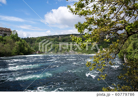 Rhine Falls of Schaffhausen, Switzerland 60779786