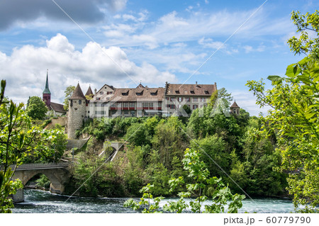Laufen Castle at the Rhine Falls of Schaffhausen, 60779790