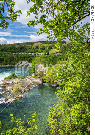 Rhine Falls of Schaffhausen, Switzerland 60779800