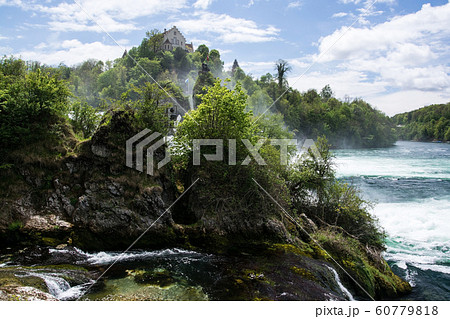 Rhine Falls of Schaffhausen, Switzerland 60779818