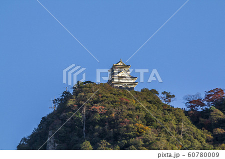 岐阜県　岐阜城 60780009