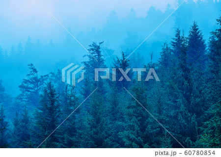 Misty mountain landscape 60780854