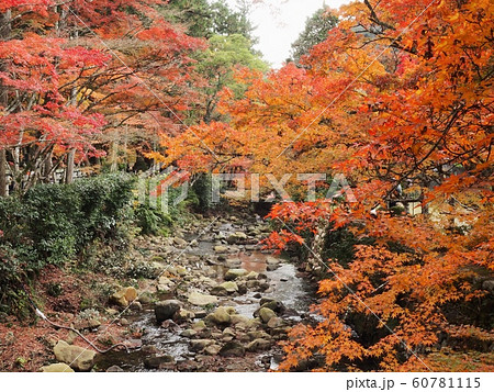 佛通寺の紅葉　紅葉 60781115