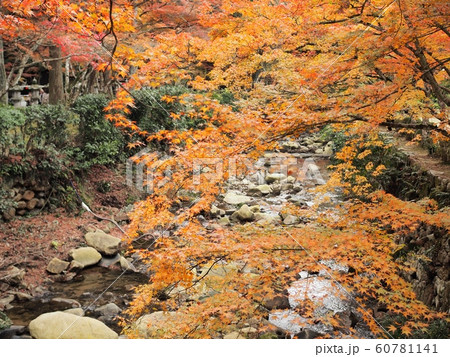 佛通寺の紅葉　紅葉 60781141