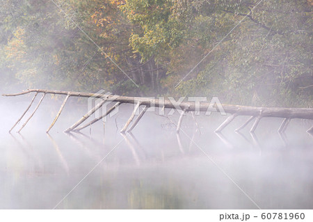 191101深谷ダムG052 60781960