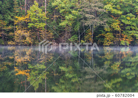 191101深谷ダムG098 60782004