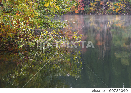 191101深谷ダムG116 60782040