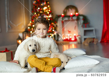 Cute baby with a white golden labrador on the background of Christmas decorations Cute baby with a white golden labrador on the background of Christmas decorations 60782959