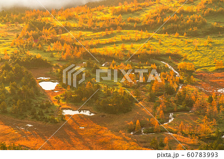 《群馬県》渋峠のご来光・秋の志賀高原 《群馬県》渋峠のご来光・秋の志賀高原 60783993