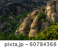 Green deciduous trees and mountain in Greece close up 60784368