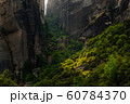 Green deciduous trees and mountain in Greece side view 60784370