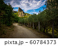 Sandy road along the trees in Greece 60784373