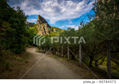 Sandy road along the trees in Greece 60784373