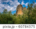 Green deciduous trees and mountain in Greece 60784375