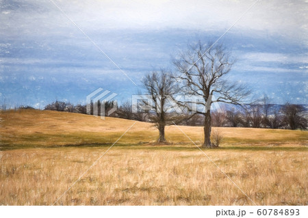 Watercolor drawing of landscape with dry trees 60784893