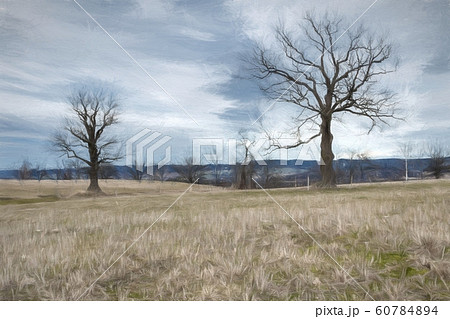 Watercolor drawing of landscape with dry trees 60784894
