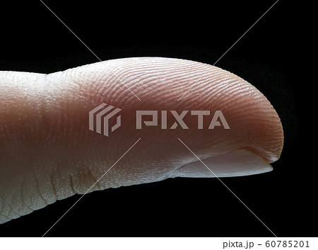 Index Finger Print Forensic Science 60785201