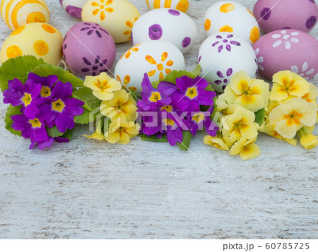 Easter eggs and yellow and violet primula flowers Easter eggs and yellow and violet primula flowers 60785725