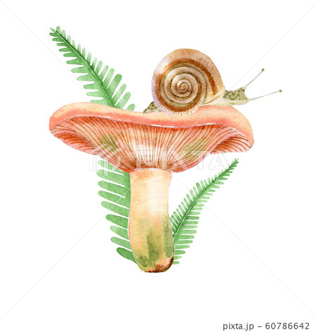 Watercolor mushroom with snail 60786642