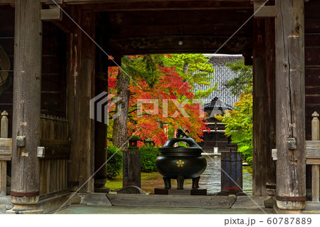 天徳院の紅葉 60787889