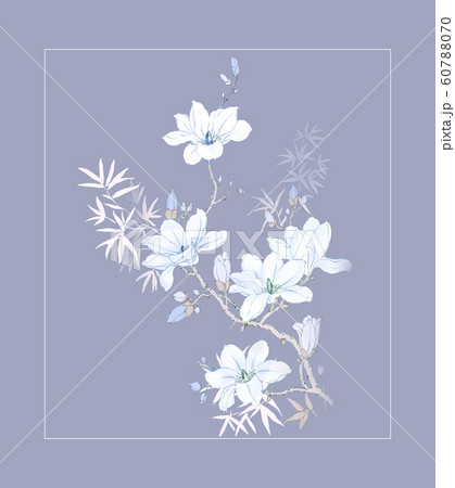 透明水彩 水彩画 花 60788070