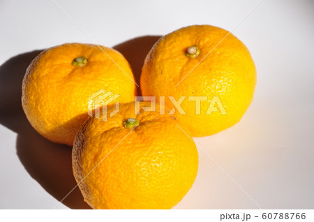 柚子 柚子 60788766