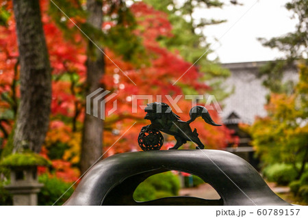 天徳院の紅葉 天徳院の紅葉 60789157