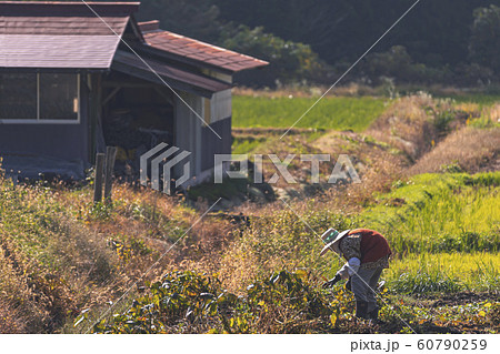 191101農作業G004 191101農作業G004 60790259