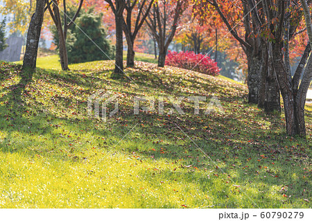 191101グリンパークG038 60790279