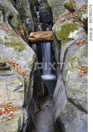 龍王の滝（京都府船井郡京丹波町） 60790374