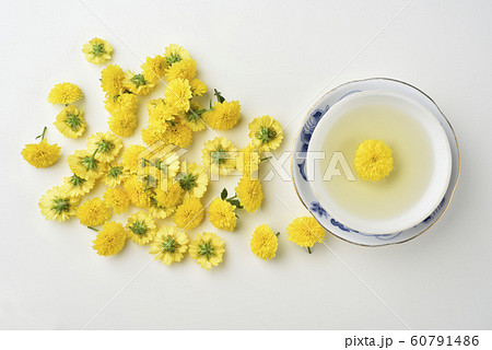 ブルーミング 開花 咲く 60791486