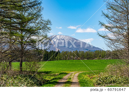 岩手山　冠雪　森林　草原　牧草地　自然　青い　空　道　背景　BG　東北地方　岩手県　日本　滝沢　雫石 60791647