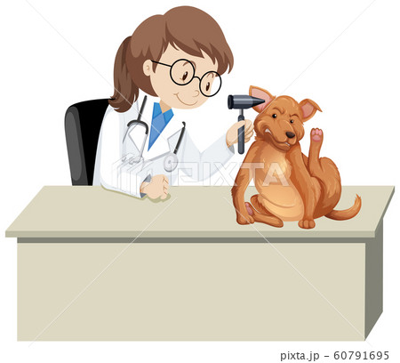 Veterinarian with sick animal 60791695